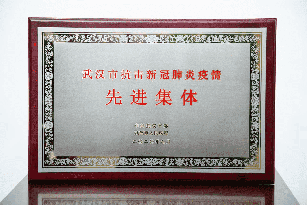 2020年武汉市抗击新冠肺炎疫情先进集体