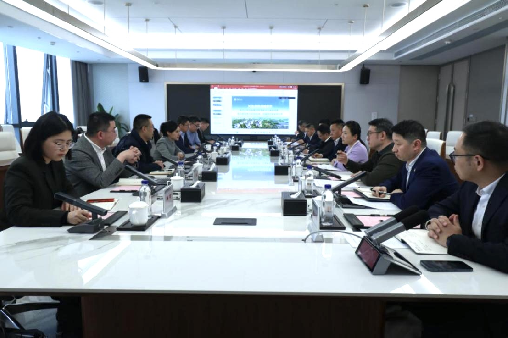 湖北金租与天合富家开展座谈交流