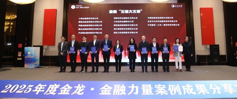 喜报！湖北金租入选《金融时报》2025年度“金龙·金融力量”案例